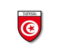 Akachafactory Autocollant Sticker Voiture Moto Blason Ville Drapeau Tunisie Tunisien