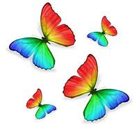 Akachafactory Set 4X Autocollant Sticker Voiture Moto Deco Papillon Arc en Ciel