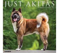 Akitas 2027 Wall