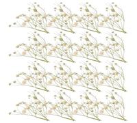 AKOOSY Bouquet de Fleurs Séchées Naturelles Décoration DIY Gypsophile sans Eau ni Sol Ajout d'une Touche Authentique pour Vase pour Photos et Banquets