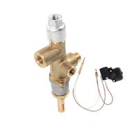 AKOOSY Kit de Remplacement de Thermocouple Extérieur Thermomètre Chauffage, Protection la Surchauffe, pour Parasol Chauffant et Poêle, 1 Set