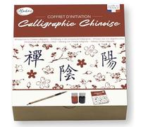 Aladine - Kit d’Initiation à la Calligraphie Chinoise - Pinceau, 2 Encres & Cahier d’Écriture - Apprentissage Idéogrammes Caractères Chinois - Adulte & Enfant - Loisirs Créatifs - 85517