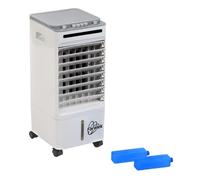 ALASKA - Rafraîchisseur d'air 65W 6L blanc & gris