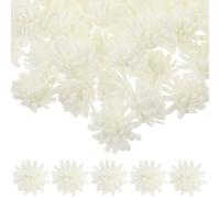 Alasum Diffuseur de Parfum Ambiance Mini 100pcs Fleurs Artificielles Blanc en PE Forme Fleur Facile à Utiliser pour Maison Bureau