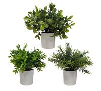 Alba Plantes feuillage vert - Arbustes artificiels en pot pour décoration intérieur - Hauteur 20 cm - Lot de 3