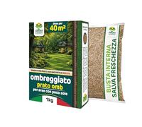 Albagarden Graines de gazon ombragé 40 m² - Graines d'herbe pour zones ombragées - Mélange d'herbe et de zéolite - Germination rapide - Pelouse dense même sous les arbres et les haies