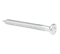 Alberts Pointes de fixation 331764 – galvanisées 4 x 50 mm – Set de 250 pièces