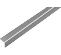Alberts 423926 Cornière, autocollante, plastique, aspect inox, 1000 x 20 x 20 mm, lot de 6