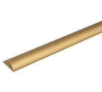 Alberts 476564 Profilé d'arrêt | aluminium, couleur or, anodisé | 1000 x 25 x 13 mm