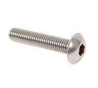 Alberts 657055 Clé à Six pans Creux | Acier Inoxydable | 5,5 mm | Filetage : M8 x 40 mm | Set de 100 pièces clôture, Gris