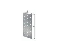 Alberts 836665 Lot de 25 plaques perforées galvanisées Sendzimir 300 x 100 x 2 mm