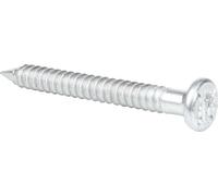 Alberts 839062 Clou d'ancrage, galvanisé, 4 x 50 mm, jeu de 750 pièces