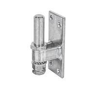 Alberts 858698 Gond à visser | réglable | électro-galvanisé, passivé à couche épaisse | cote axe Ø16 mm | platine 100 x 40 mm | kit de 10