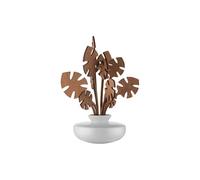 Alessi - Diffuseur de parfum Bois naturel