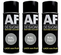 Alex Flittner Designs Lot de 3 bombes de peinture RAL pour voiture - Gris poussière brillant RAL7037