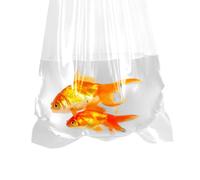 AlfaEx Lot de 10 sacs de pêche étanches en plastique transparent à fond arrondi pour poissons tropicaux et marins, calibre 200, 20,3 x 40,6 cm