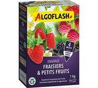 ALGOFLASH Engrais Fraisiers et Petits Fruits 1 kg FRAI1N
