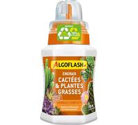 ALGOFLASH Engrais Liquide Cactus et plantes grasses, UAB, 250 ml | Engrais liquide UAB spécifique pour un enracinement renforcé et une floraison favorisée. Acclimatation facilitée.