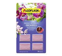 Algoflash Bâtonnets engrais pour orchidées – Action jusqu'à 3 mois – 20 bâtonnets