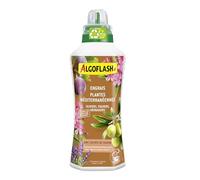 ALGOFLASH Engrais Liquide plantes méditéranéennes, UAB, 1 L | Engrais liquide UAB complet et équilibré pour bougainvilliers et lauriers roses. Nutrition optimale assurée.