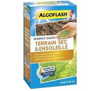 ALGOFLASH - Gazon terrain sec ensoleillé 1kg
