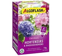 ALGOFLASH Engrais Hortensias et Rhododendrons, Longue Durée, 1 kg, HORTO1N