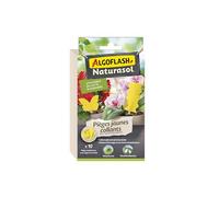 ALGOFLASH NATURASOL Pièges Jaunes Collants contre les Insectes, 10 Stickers | Utilisable en lutte raisonnée. Colle inodore & sans insecticide. Résiste à la chaleur et aux arrosages. Facile d’utilisation.