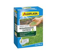 ALGOFLASH Semences Gazon Regarnissage Express 5 jours, 2,5 kg | Semences gazon enrobées pour une germination rapide dès 5 jours et un gazon dense et vert.