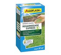 ALGOFLASH Semences Gazon Regarnissage, Germination Express 5 Jours, 800 g | Semences gazon enrobées pour une germination rapide et un gazon dense en seulement 5 jours.