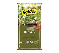 Algoflash Terre à Bonsaïs, UAB, Prêt à l'Emploi, Fabriqué en France, 6 L, TBONZ6