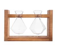 Alipis Station de Propagation de Plantes en Verre Géométrique avec | Observation Facile des Racines, Structure Stable et Étanche, Usage Maison Étagère, Format 20x13x5,7cm