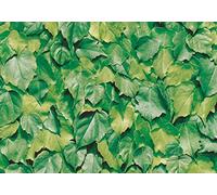 Alkor Film adhésif décoratif Film Design Auto-adhésif Film décoratif Feuille pour Meubles Cora 45 x 200 cm