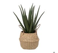 Aloe vera artificiel pot roseau H40cm - Atmosphera Créateur d'intérieur
