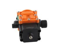 Alomejor Pompe à Eau à Membrane 12 V de qualité, Pulvérisateur Compact et Haute Performance pour le Jardinage et L'élevage, Léger 127 G, 1 unité Incluse (Modèle à filetage unique non-stop durable)