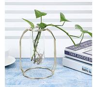 Alomejor Vases de Plantes Hydroponiques, 11x15,5cm, Verre et Métal (Doré) | Conception transparente, résistante à la corrosion, décoration intérieure, parfaite pour le scindapsus