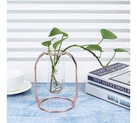 Alomejor Vases de Plantes Hydroponiques, 11x15,5cm, Verre et Métal (Rose | Conception transparente, résistante à la corrosion, décoration intérieure, parfaite pour le scindapsus