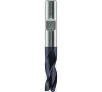 Alpen 118700300100 Mèches à mortaiser, Gris, 3.0 mm