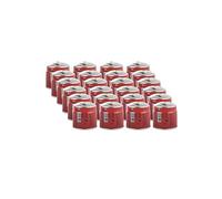 ALPEN - Pack 24 cartouches gaz 190g Butane Propane perçable sécurité stop-gaz