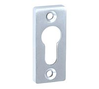 Alpertec bague en aluminium anodisé couverture de poignée de porte porte poignée de porte en acier inoxydable 65 x 30 mm, hauteur : 10 mm, argent, 40111980K1