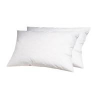 Alpes Blanc Lot de 2 oreillers 100% plumettes Fabrication française - Accueil Moelleux & Soutien mi-Ferme - Traitement antiacarien