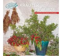 Alpha Edition - Herbes & épices 2024 - Calendrier brochure 30 x 30 cm (30 x 60 cm ouvert) - Calendrier avec espace pour notes - Avec poster - Avec recettes