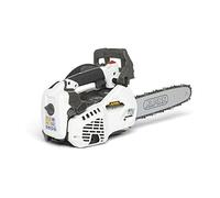 Alpina 240271000/A18 Tronçonneuse thermique AC 27 T, 26,9 CC, Blanc, Longueur du guide 25 cm (10")