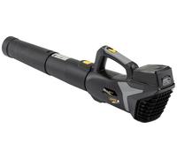 ALPINA Outdoor 271504104/A24 AB 20 Li sans fil Souffleur 20 V