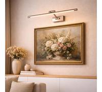 Alpinaluz Applique LED pour Tableaux et Miroirs 48 cm 10W Lumière Blanche Chaude 2700K Bras Articulé Orientable Design Linéaire Aluminium Finition Nickel Brossé Montage Mural
