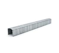 Alsafix - 5 000 agrafes galvanisées FB-10 - 11,6 x 10 x D. 0,5 x 1,25 mm - 6FB101 - Alsafix