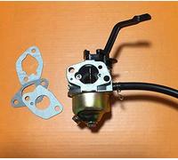 AM Carburateur pour générateur Einhell RT-PG 2500, STE 2500/1, KC 35 AE, KCST 2502 KCSE 2500, KCST 2503 avec joint