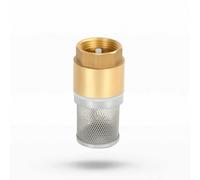Amagogo Double Door Valve Vanne à Clapets Double Vanne de Pied Vanne Anti-retour Filtre à Crépine Laiton Massif Évite le Reflux, Clapet De Pied 1 Pouce DN25