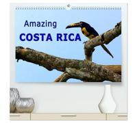 Amazing Costa Rica (High Quality Premium Wall Calendar 2027 DIN A2 landscape),CALVENDO 12 Month Wall Calendar: Amazing wildlife in Costa Rica, the destination for nature lovers