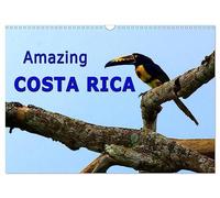 Amazing Costa Rica (Wall Calendar 2027 DIN A3 landscape), CALVENDO 12 Month Wall Calendar: Amazing wildlife in Costa Rica, the destination for nature lovers