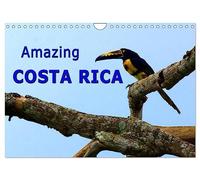 Amazing Costa Rica (Wall Calendar 2027 DIN A4 landscape), CALVENDO 12 Month Wall Calendar: Amazing wildlife in Costa Rica, the destination for nature lovers